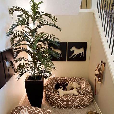 Como adaptar a casa para cães e gatos