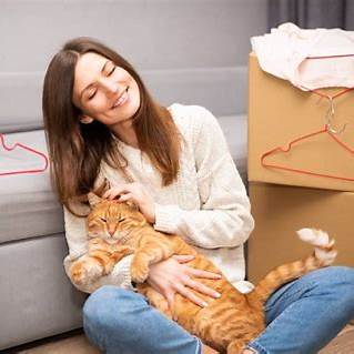 Como ajudar seu pet a lidar com mudanças na rotina