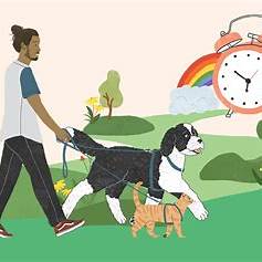 Como criar uma rotina diária para cães e gatos