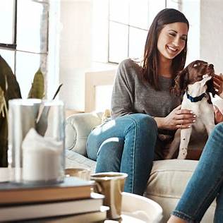 Como lidar com a chegada de visitas em casa quando se tem pets